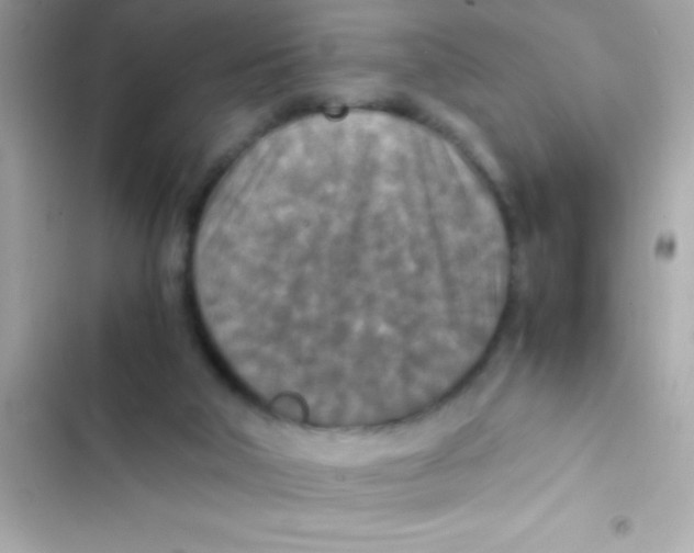 X0000103140018200809192016
