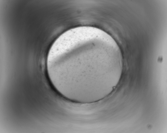 X0000103140019200809192016
