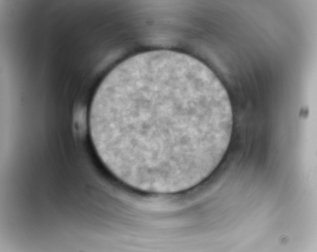 X0000103140020200809192016