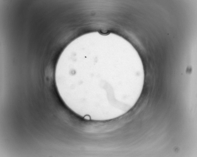 X0000103140021200809192016