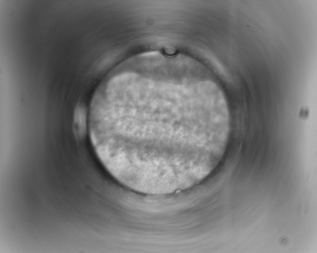X0000103140022200809192016
