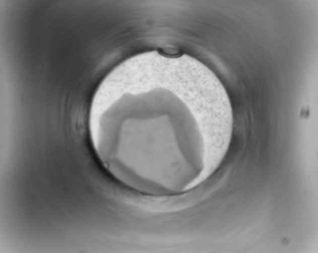 X0000103140023200809192016