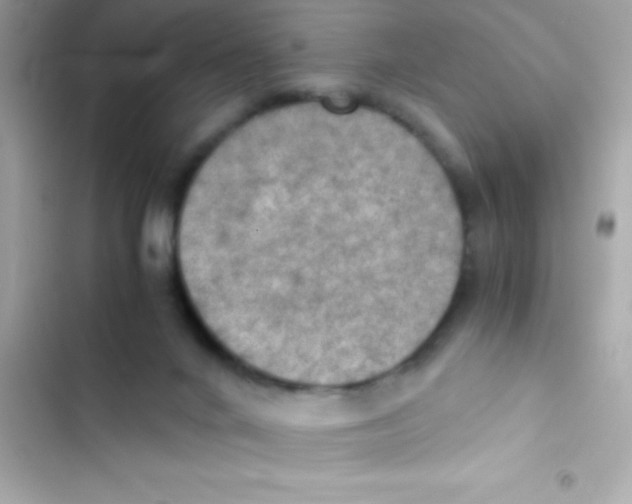 X0000103140024200809192016