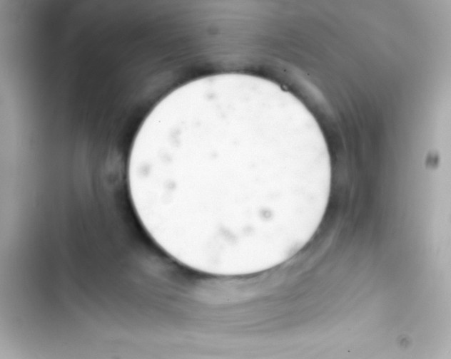 X0000103140025200809192016