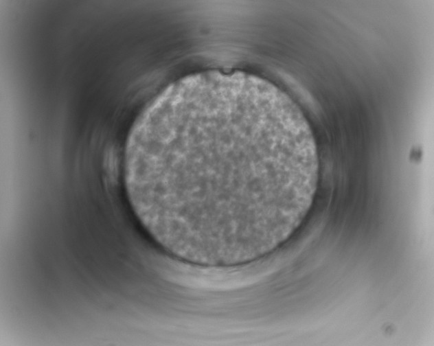 X0000103140026200809192016