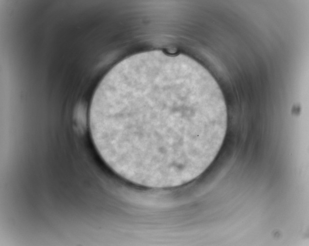 X0000103140028200809192016