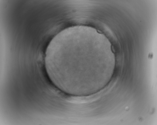X0000103140029200809192016