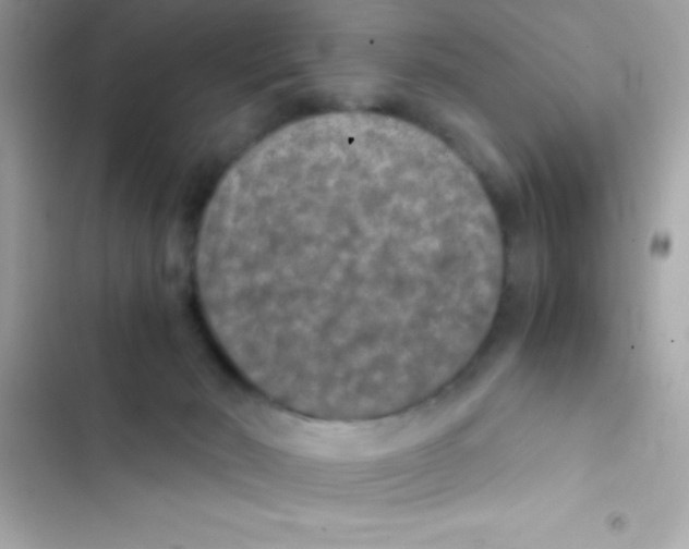 X0000103140030200809192016