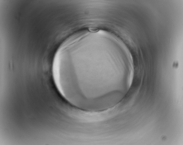 X0000103140031200809192016