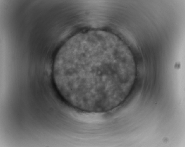 X0000103140032200809192016