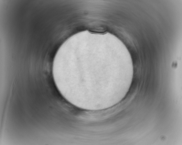 X0000103140033200809192016