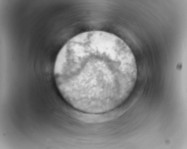 X0000103140034200809192016