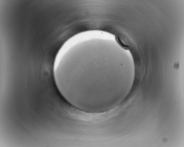 X0000103140035200809192016