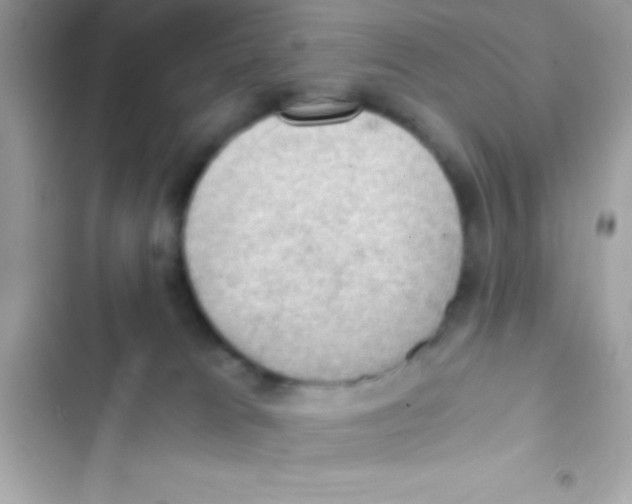 X0000103140037200809192015