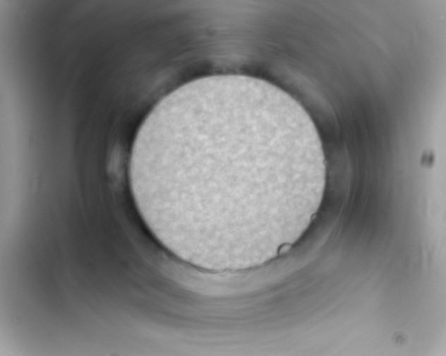 X0000103140038200809192015