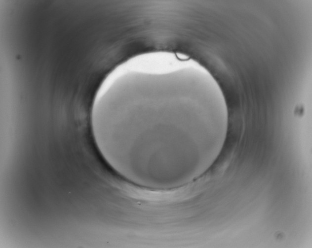 X0000103140039200809192015