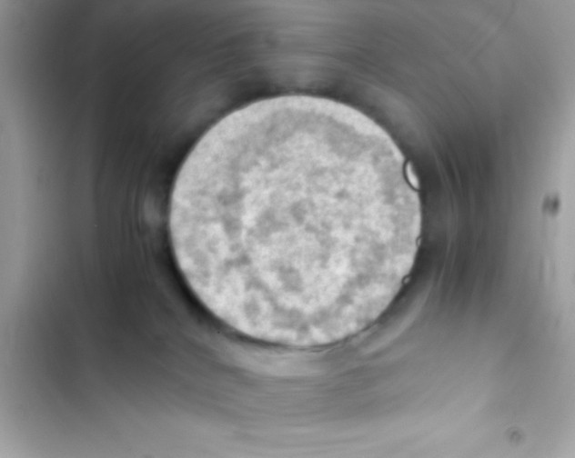 X0000103140040200809192015