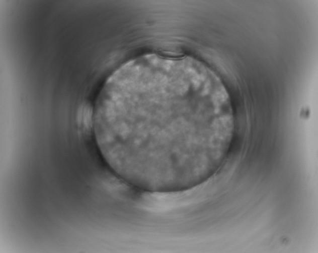 X0000103140041200809192015