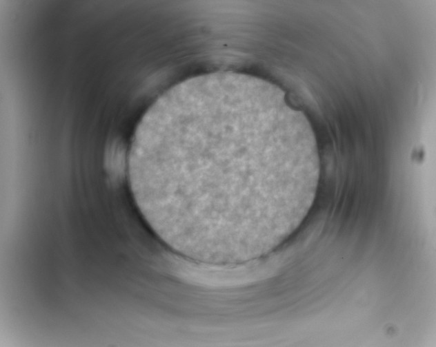 X0000103140042200809192015