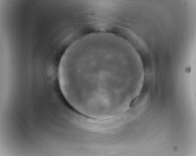 X0000103140043200809192015