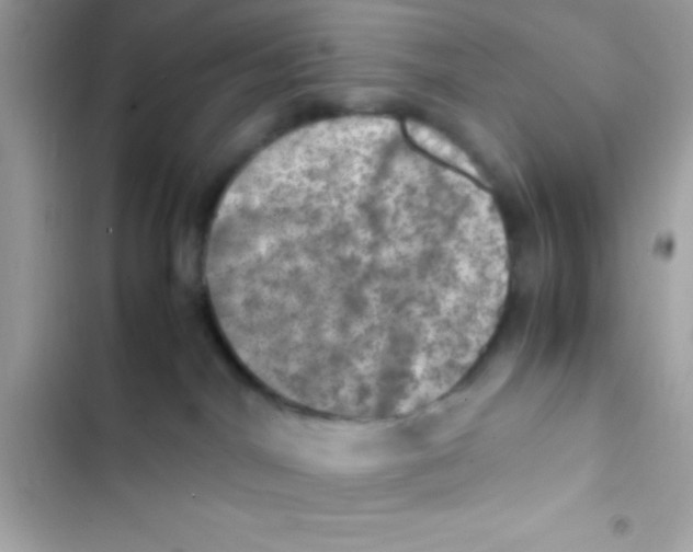 X0000103140044200809192015