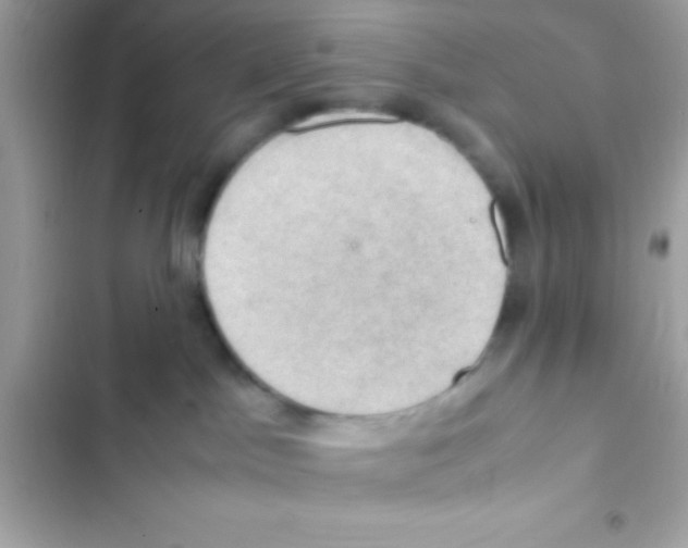 X0000103140045200809192015