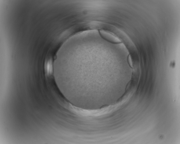 X0000103140046200809192015