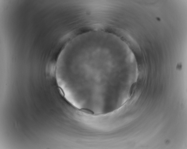 X0000103140047200809192015