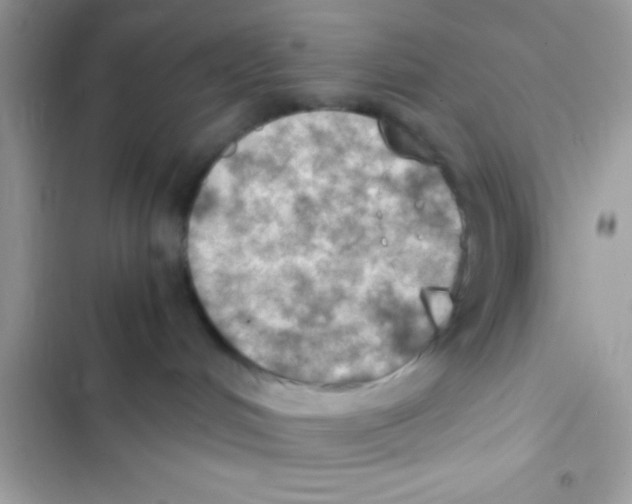 X0000103140048200809192015