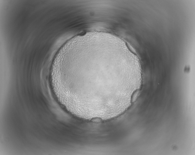 X0000103140049200809192015
