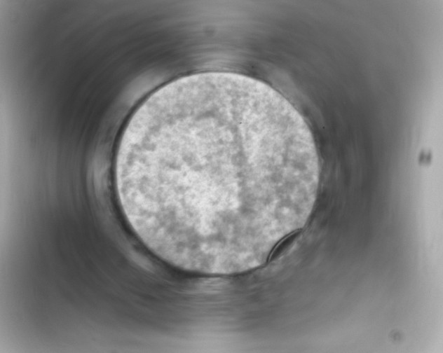 X0000103140050200809192015
