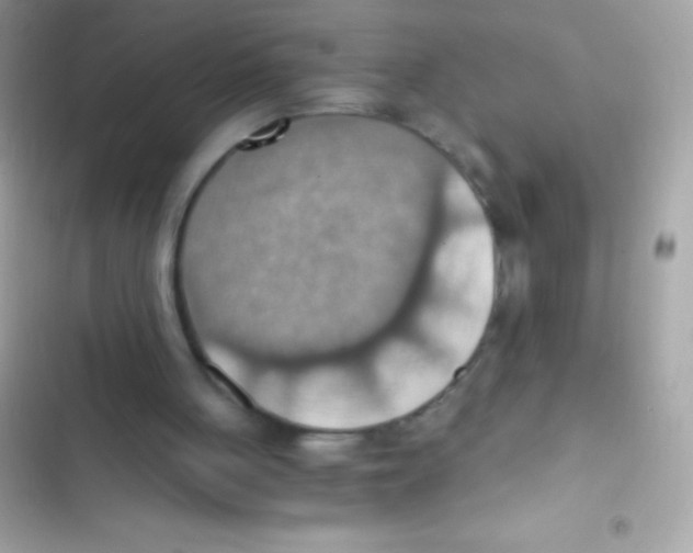 X0000103140051200809192015