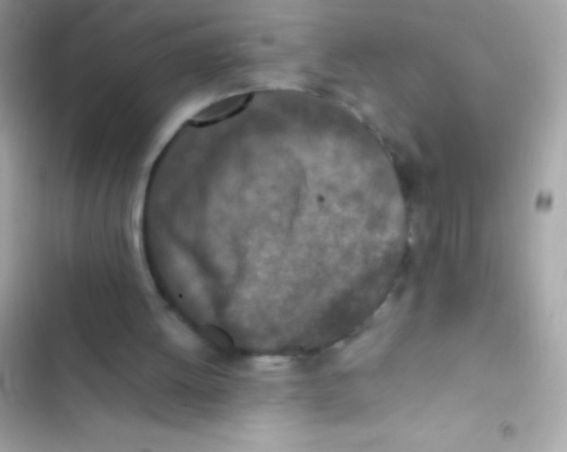 X0000103140052200809192015