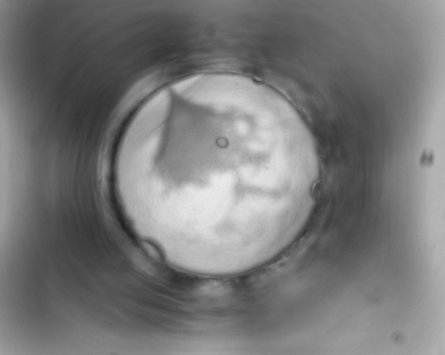 X0000103140053200809192015