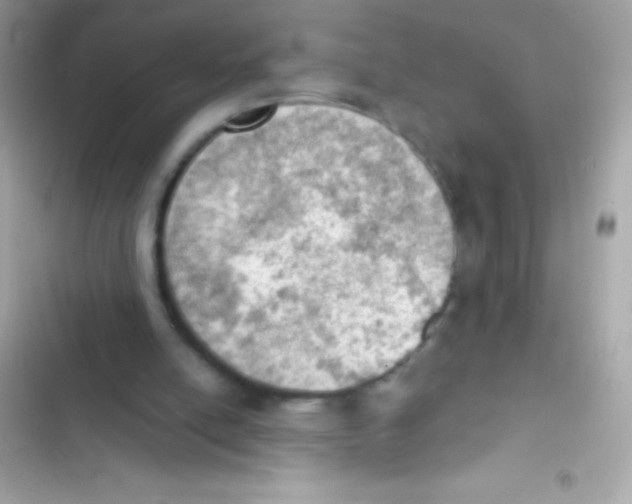 X0000103140054200809192015