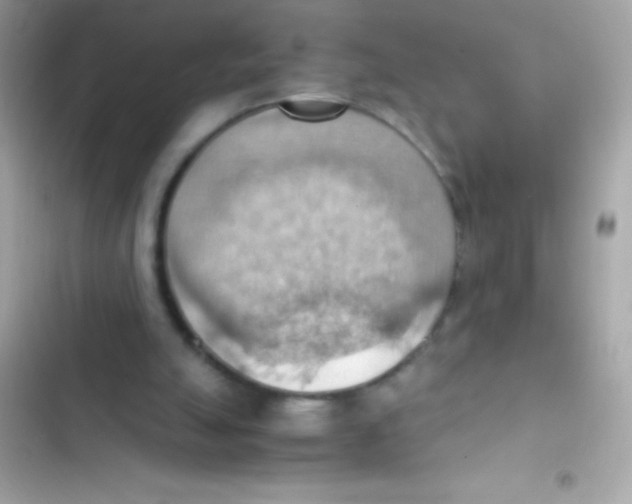 X0000103140055200809192015