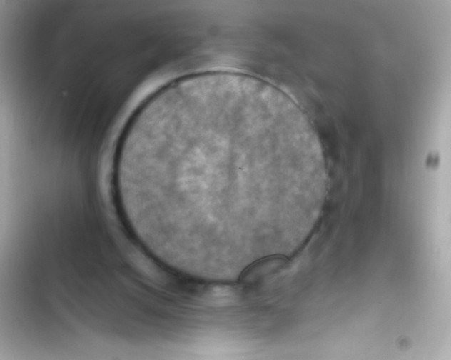X0000103140056200809192015