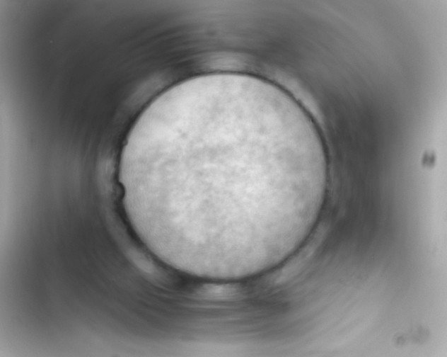 X0000103140057200809192015