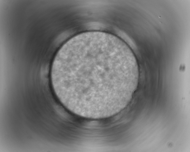 X0000103140058200809192015