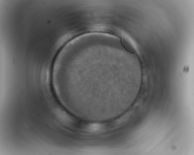 X0000103140059200809192015