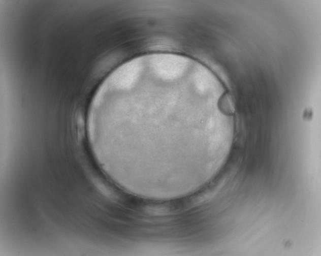X0000103140061200809192015