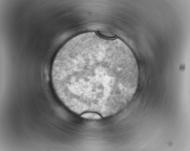 X0000103140062200809192015