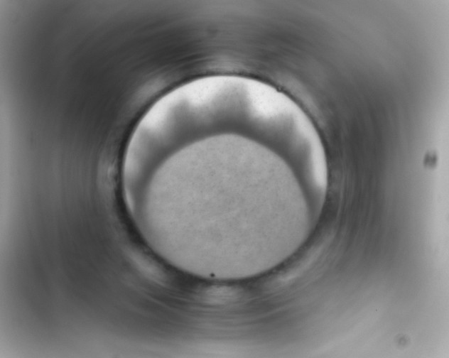 X0000103140063200809192015