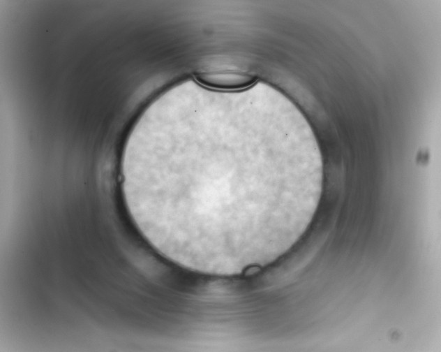X0000103140064200809192015