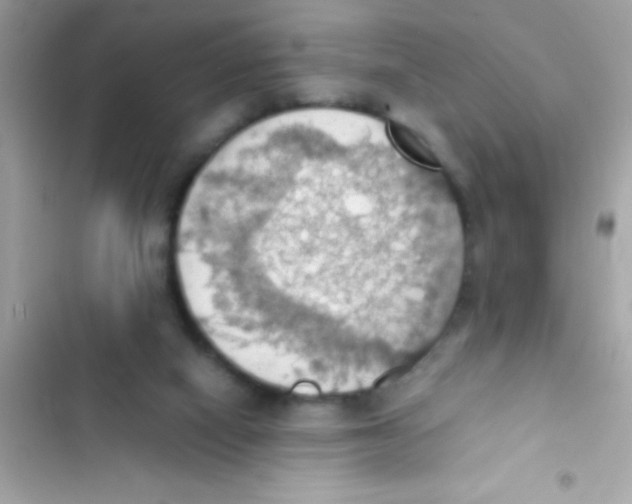 X0000103140066200809192015