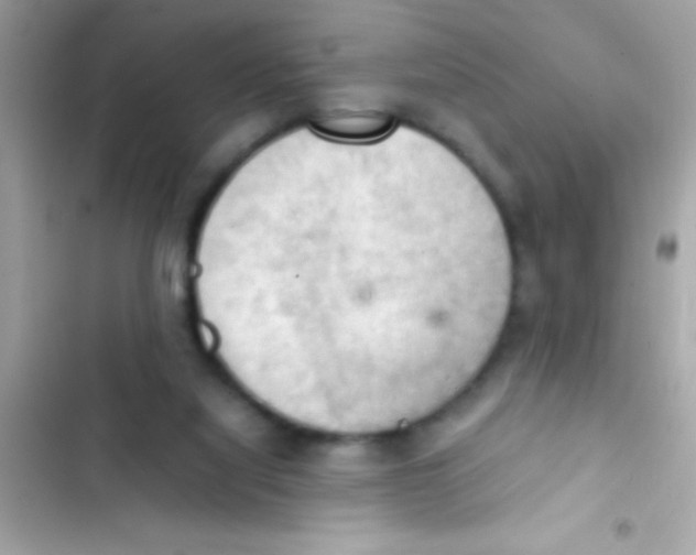 X0000103140068200809192015