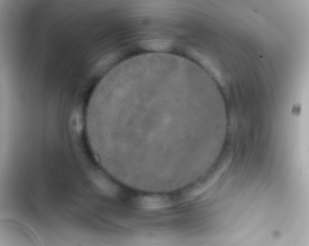 X0000103140069200809192015