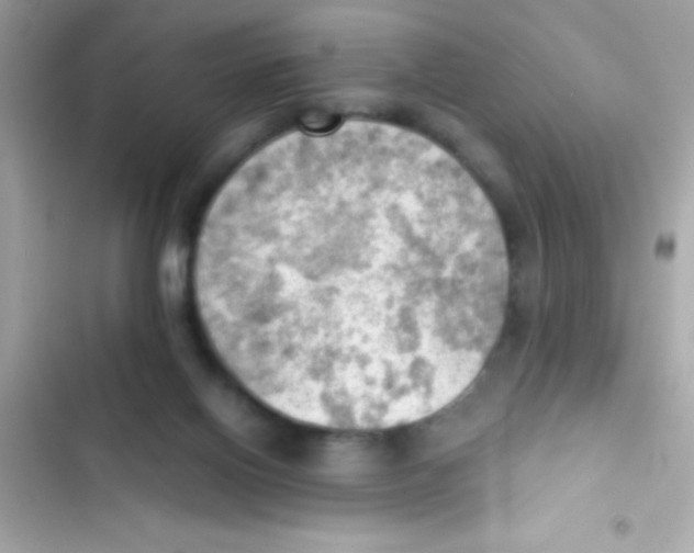 X0000103140070200809192015