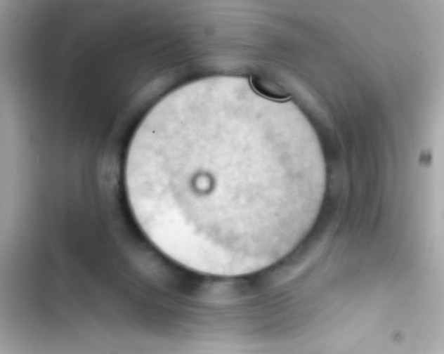 X0000103140072200809192015