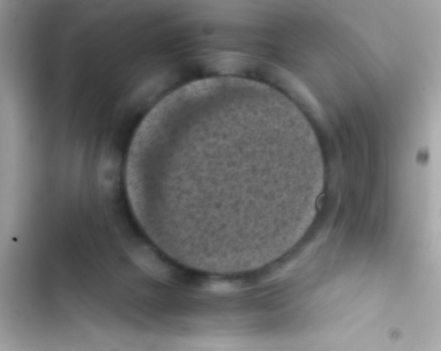 X0000103140073200809192015